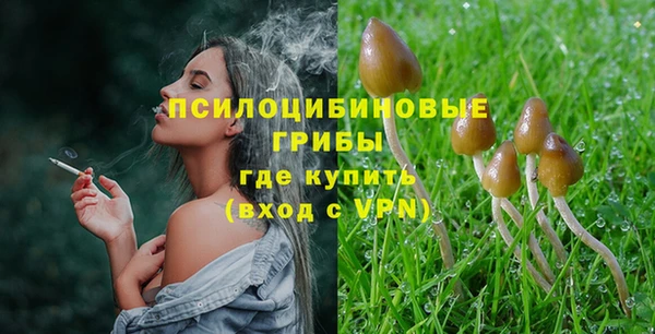молекула духа Покровск
