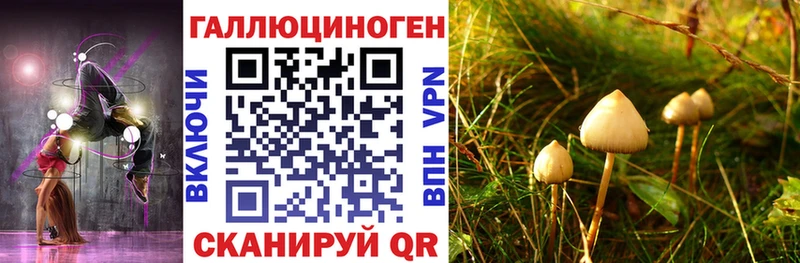 Псилоцибиновые грибы мицелий OMG ссылка Печора